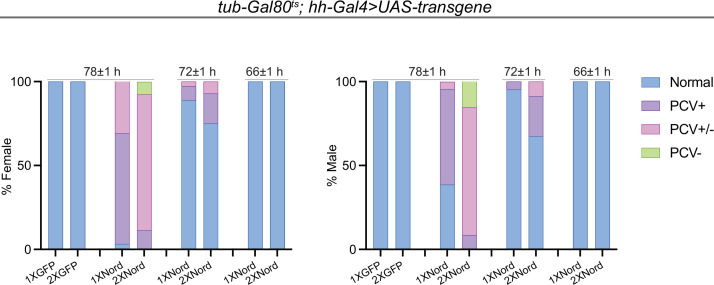 Figure 7—figure supplement 1.