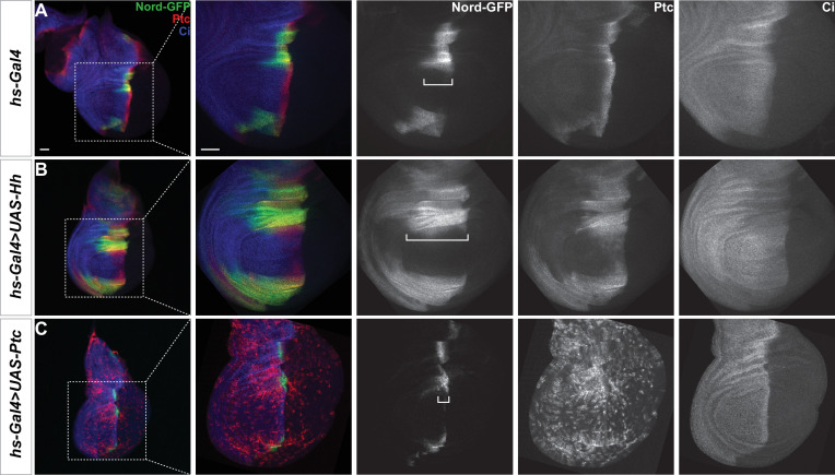 Figure 2—figure supplement 3.