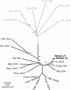 FIG. 5.