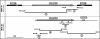 FIG. 1.