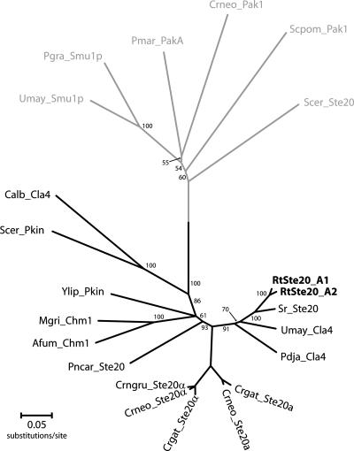 FIG. 5.