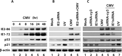 FIG. 7.