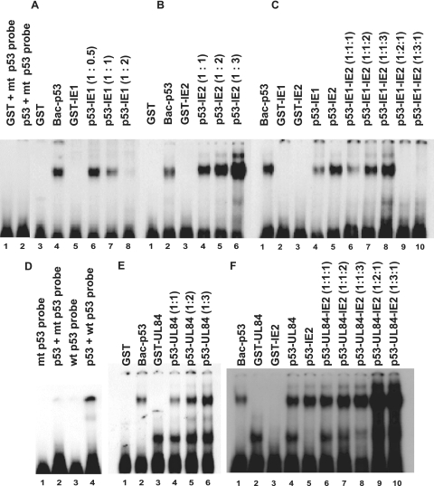 FIG. 5.