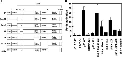 FIG. 8.