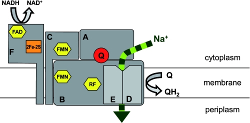 FIGURE 9.