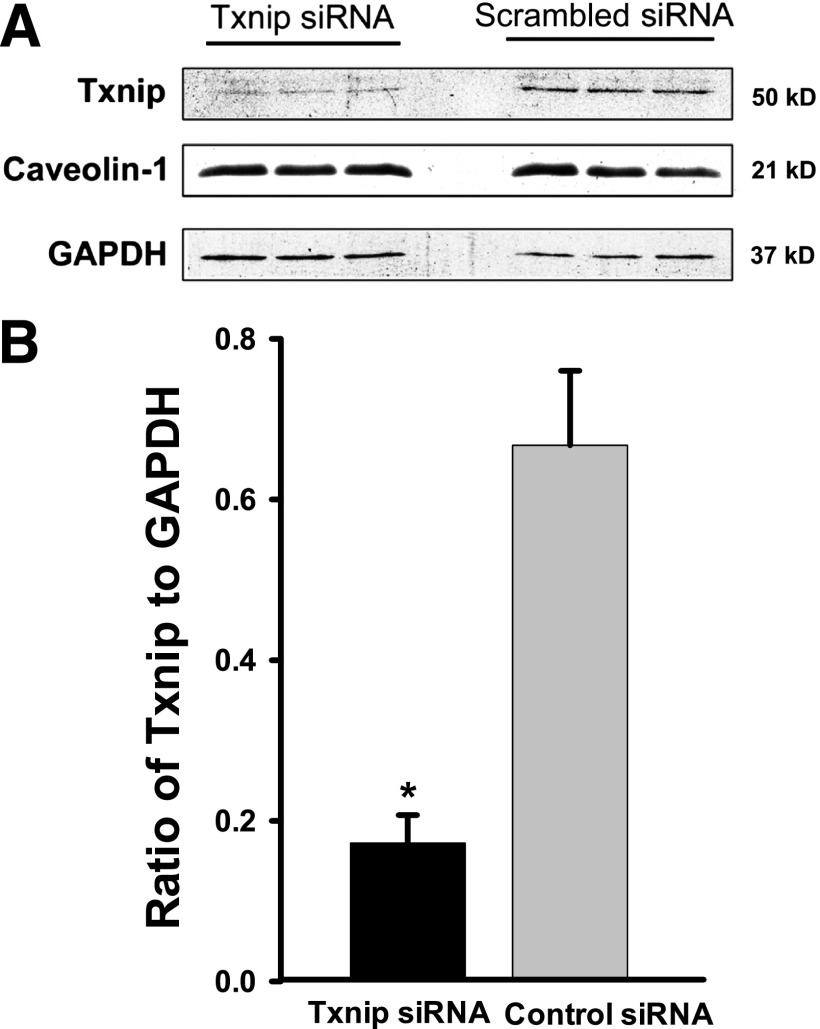 FIG. 6.