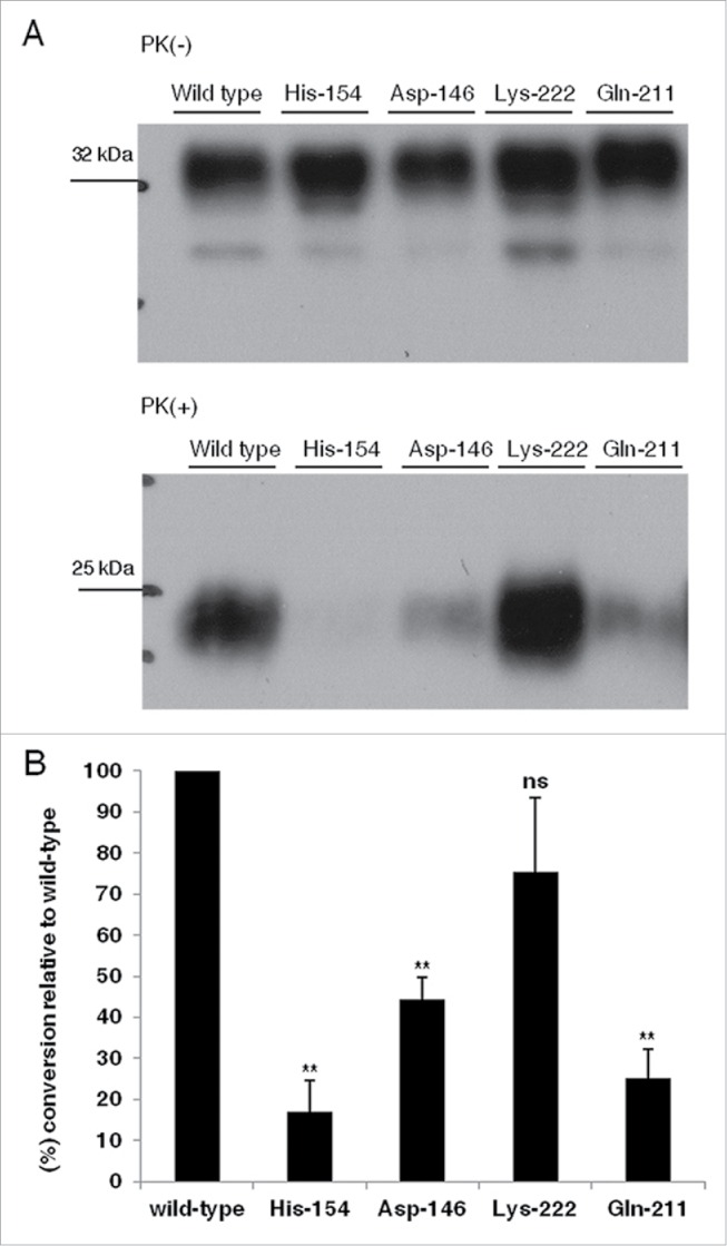 FIGURE 4 (see next page).