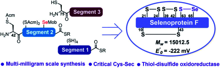 graphic file with name d2sc00492e-ga.jpg