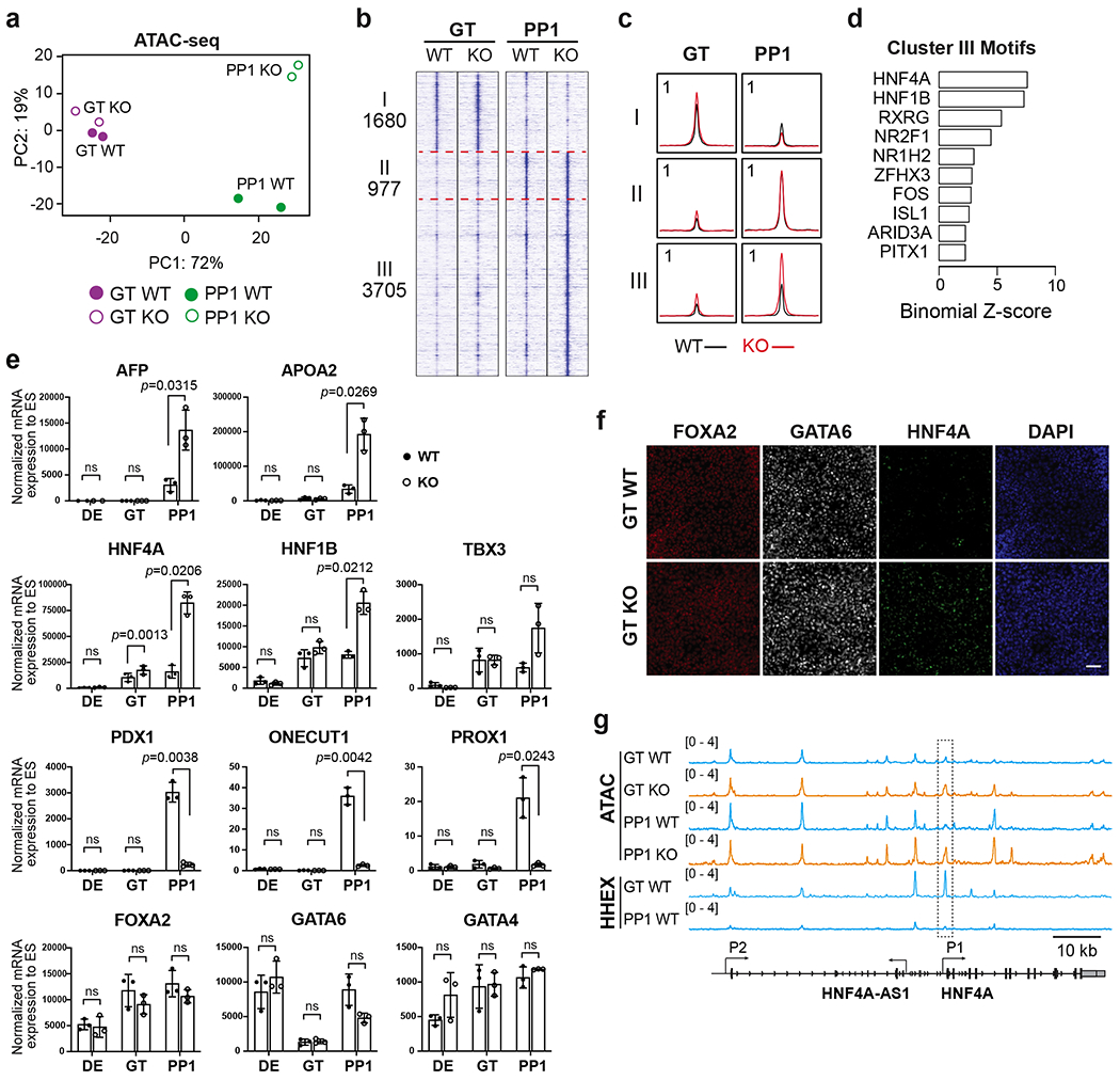 Fig. 4: