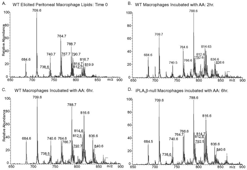 FIGURE 11