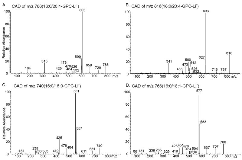 FIGURE 10