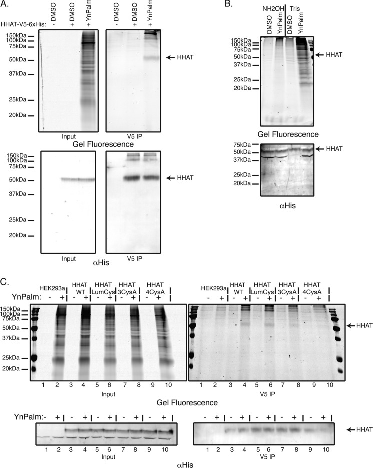 FIGURE 7.