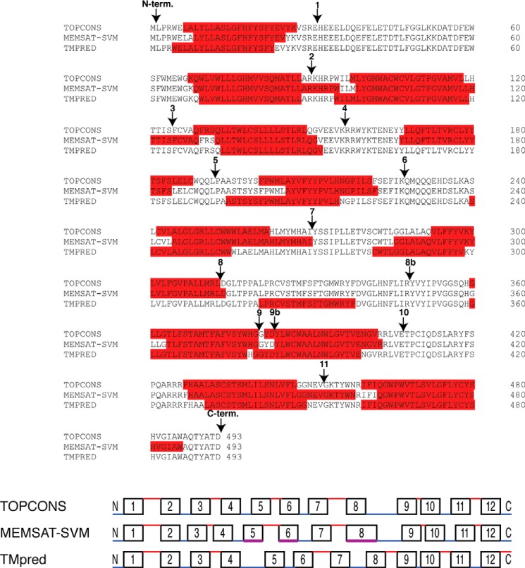 FIGURE 1.