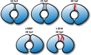 Fig 10