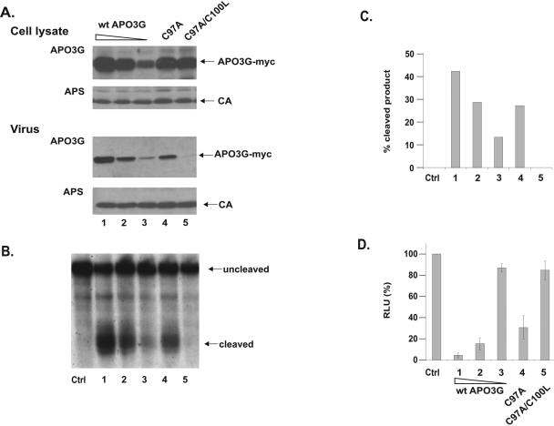 FIG. 3.