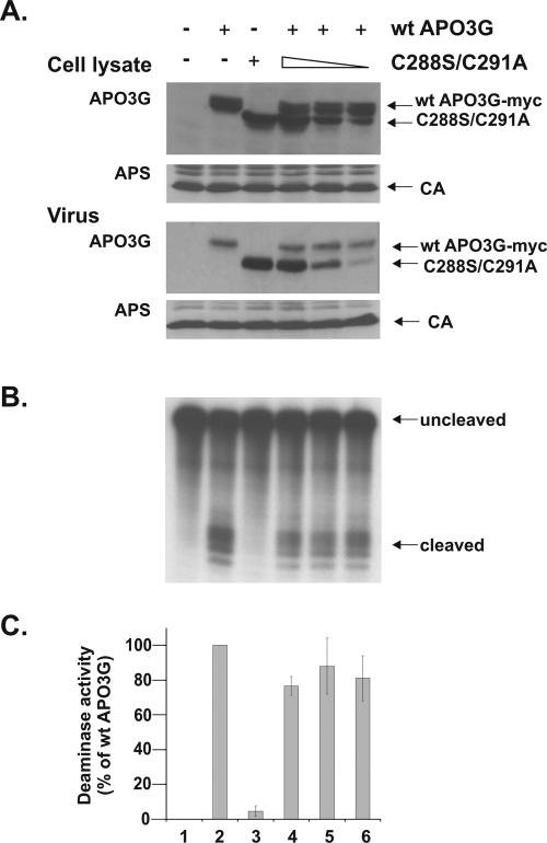 FIG. 6.