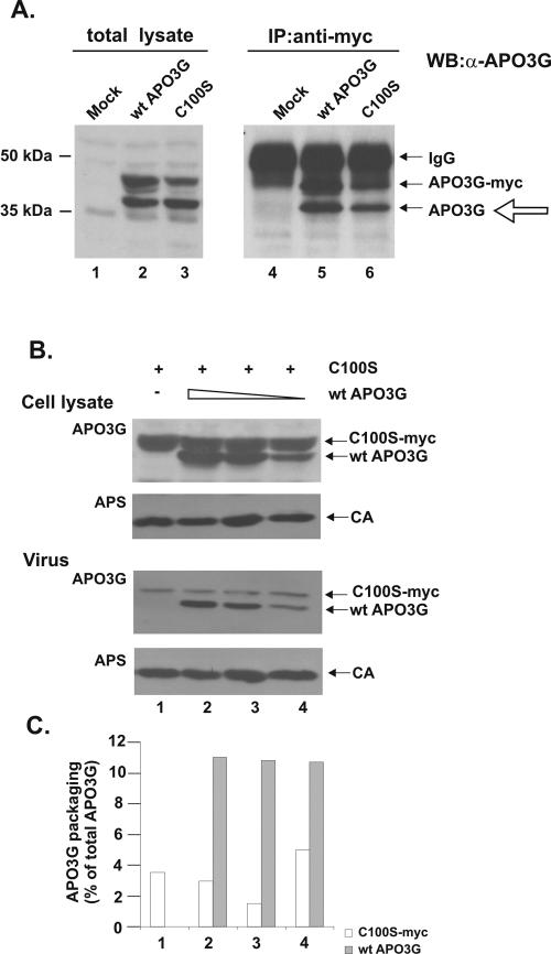 FIG. 4.