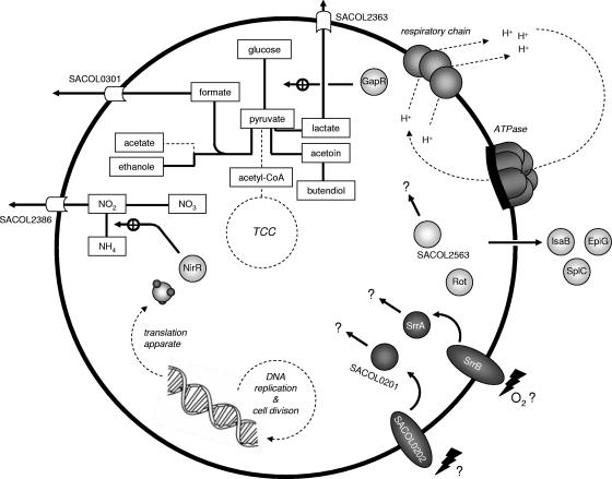 FIG. 6.