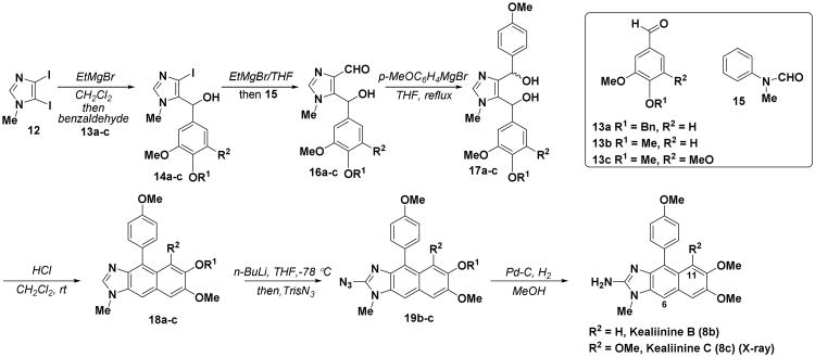 Scheme 1