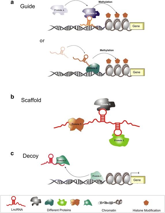 Fig. 1