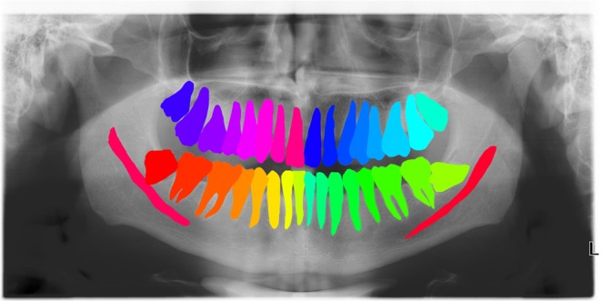 Figure 2