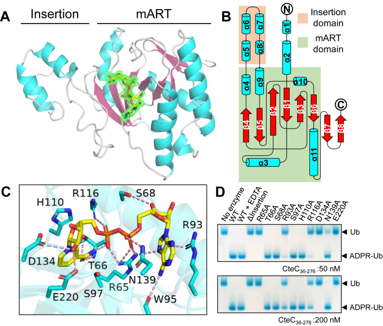 Figure 2