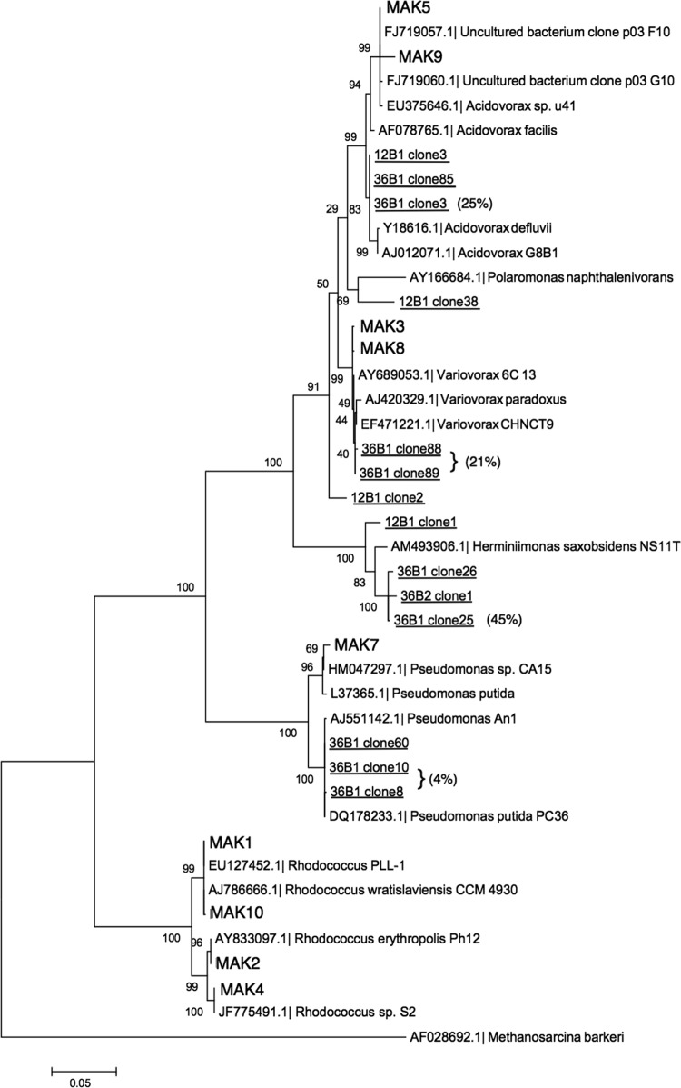 FIG 2