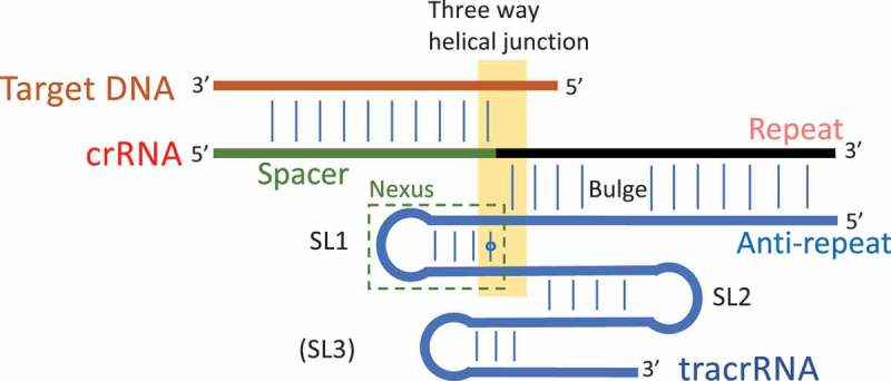 Figure 2.