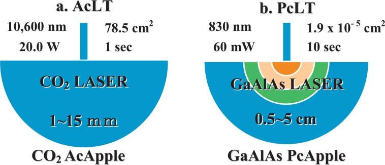 Figure 5: