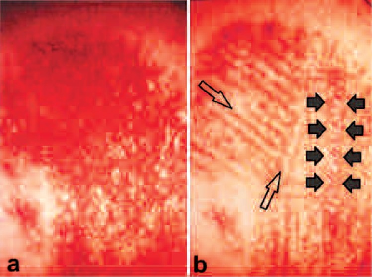 Figure 4: