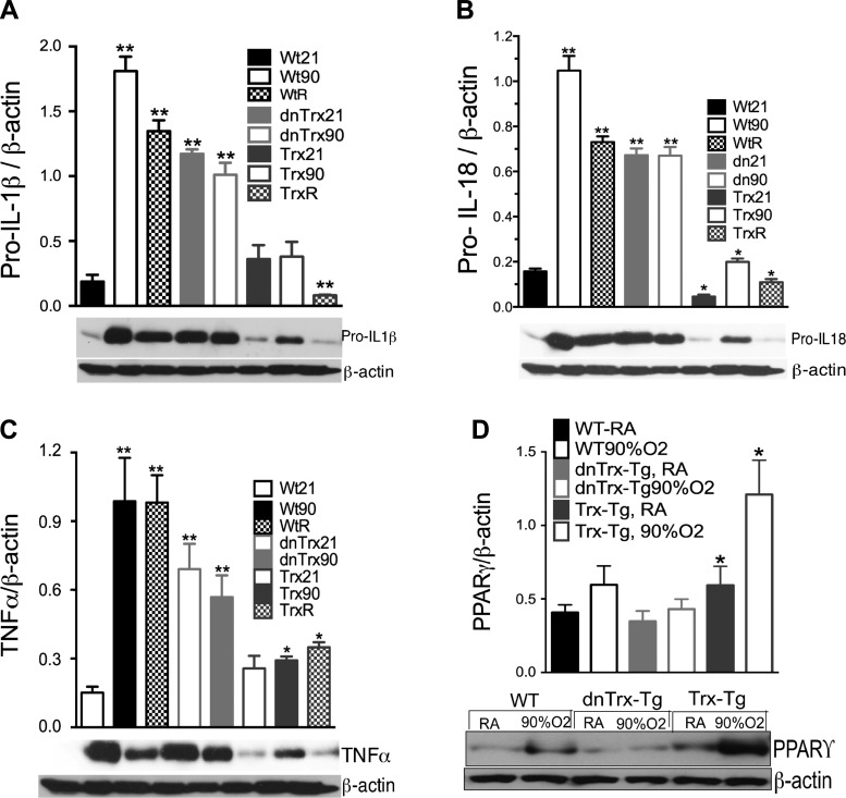 Fig. 10.