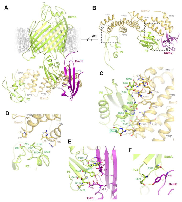 Fig. 3