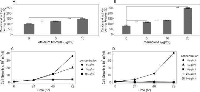 Fig 6