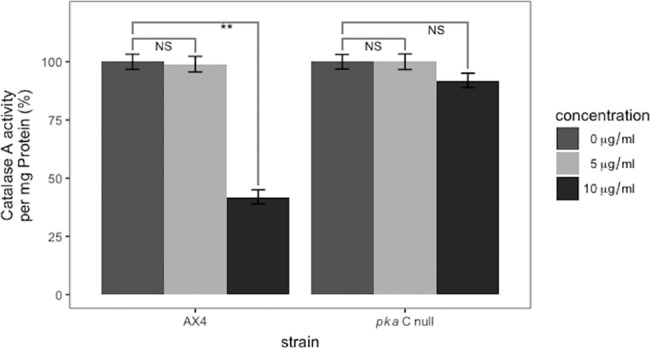 Fig 10