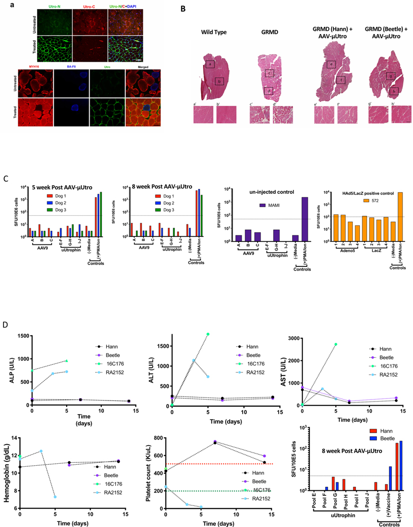 Extended Data Fig. 8 |