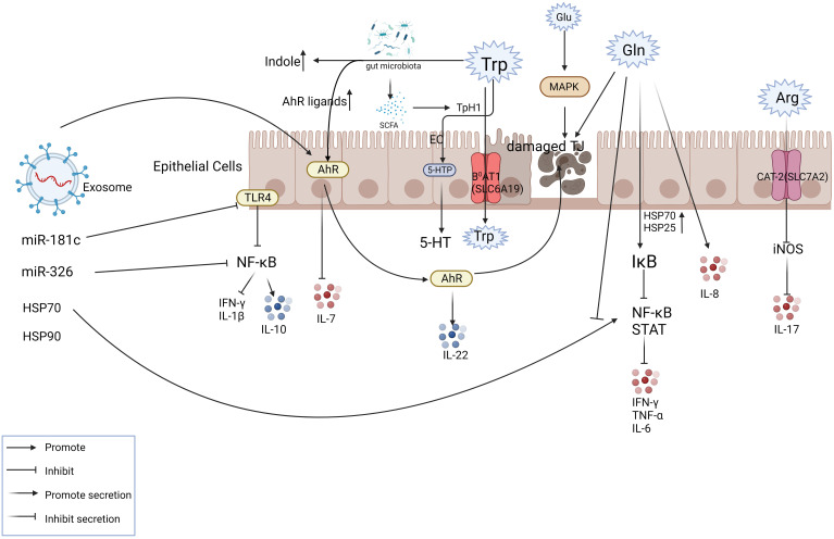 Figure 3