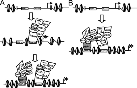 FIGURE 7.