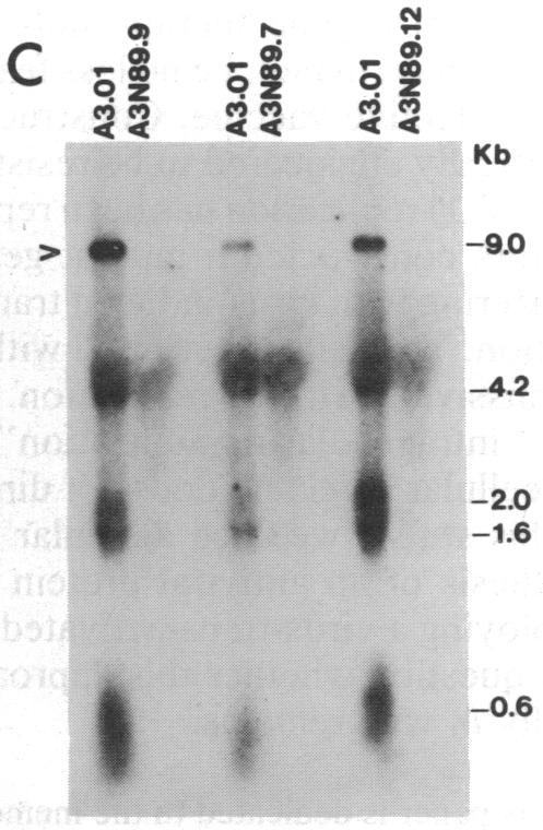 graphic file with name pnas00280-0167-a.jpg