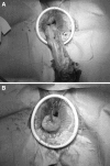 Fig. 6