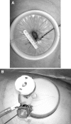 Fig. 1