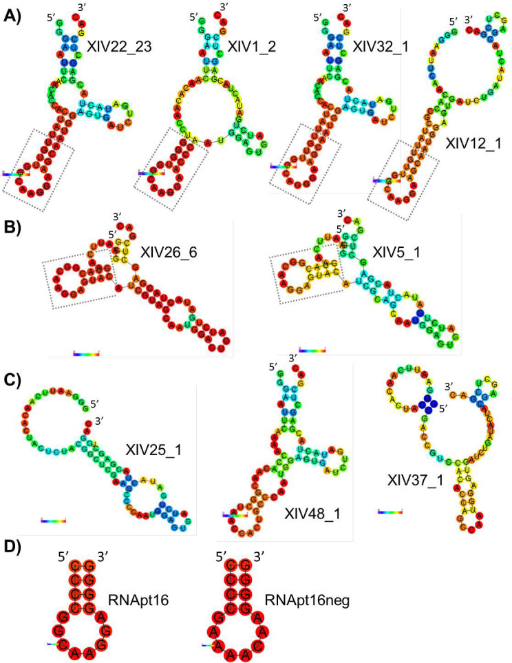 Figure 4