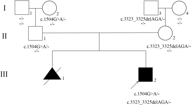 FIGURE 2