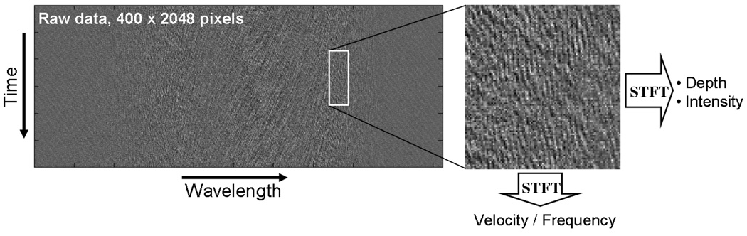 Fig. 2