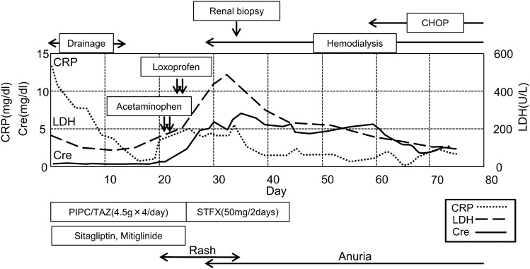 Fig. 1