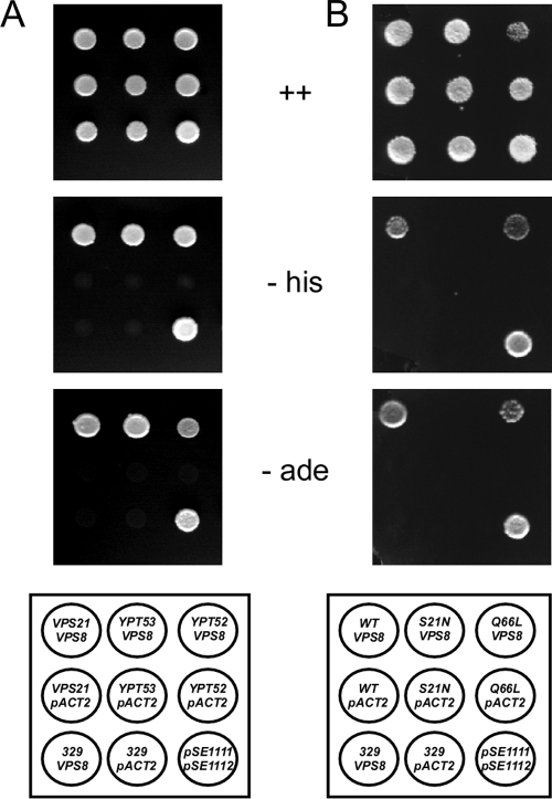 Fig. 3.