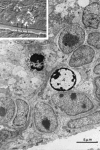 Fig. 9.