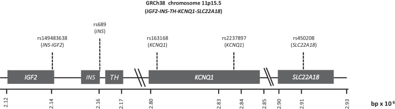 Fig. 1
