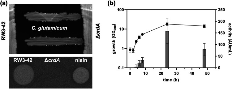 FIG 2