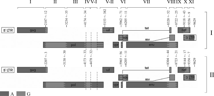 FIG. 2.