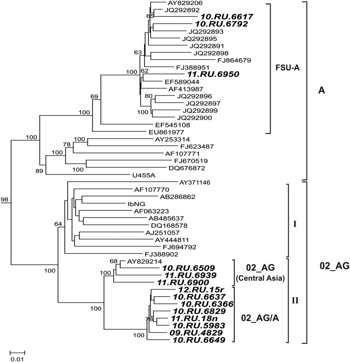 FIG. 1.